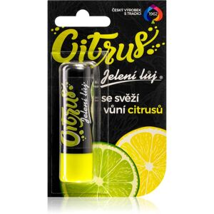 Regina Citrus deer tallow lip balm citrus 4.5 g