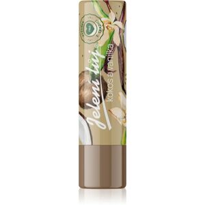 Regina Coconut & Vanilla lip balm 4,5 g