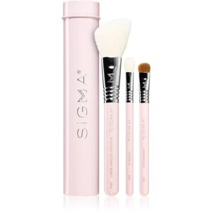 Sigma Beauty Essential makeup brush set with a pouch