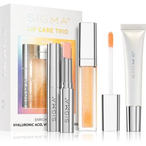 Sigma Beauty Lip Care Trio set (for lips)