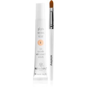 Sisley Phyto-Cernes Eclat eye concealer with brush 2 15 ml