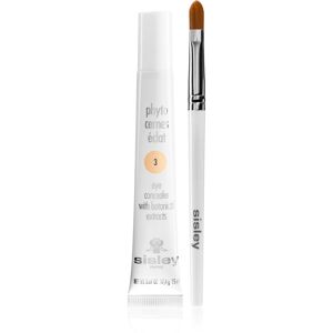 Sisley Phyto-Cernes Eclat eye concealer with brush 3 15 ml