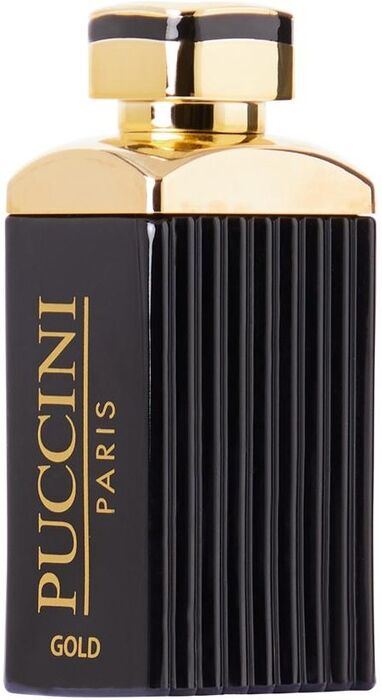 Puccini Paris Gold pour Homme 100.0 ml