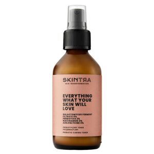 SKINTRA Everything What Your Skin Will Love Toner