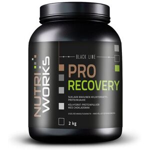 Nutri Works Pro Recovery -palautusjuoma 2000g