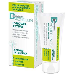 dermovitamina acneclin idrogel attivo azione intensiva 40 ml