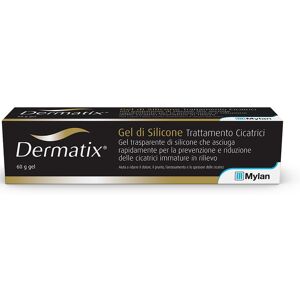 VIATRIS ITALIA Srl DERMATIX Gel Sil.Cicatr.60g