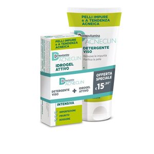 Dermovitamina Acneclin Bipack