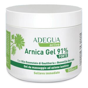 Consulteam Srl Adegua Arnica Plus 91% Gel Ext