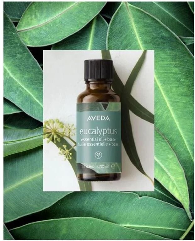 Aveda Oli Essenziali Eucalyptus 30ml