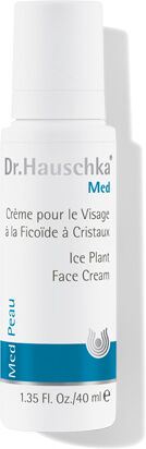 Dr. Hauschka Face Cream Ice Plant - 40 ml