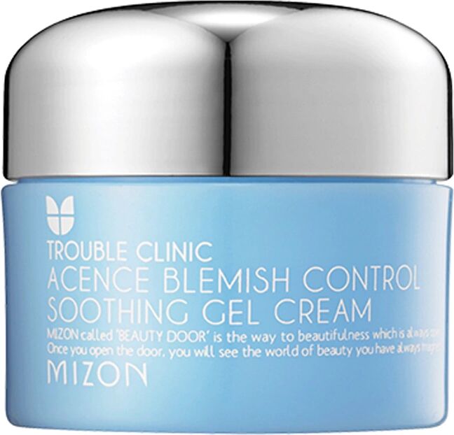 Mizon Acence Blemish Control Soothing Gel Cream (50ml)