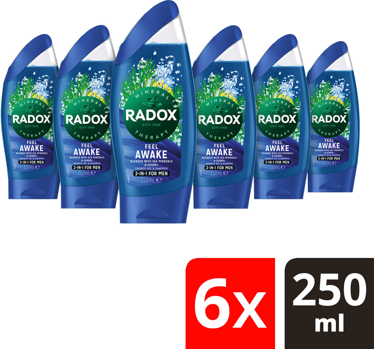 Radox Mineral Therapy Feel Awake Fennel & Sea Minerals 2-in-1 Shower Gel & Shampoo 250ml Pack of 6