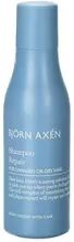 Björn Axén Repair Shampoo - 75 ml