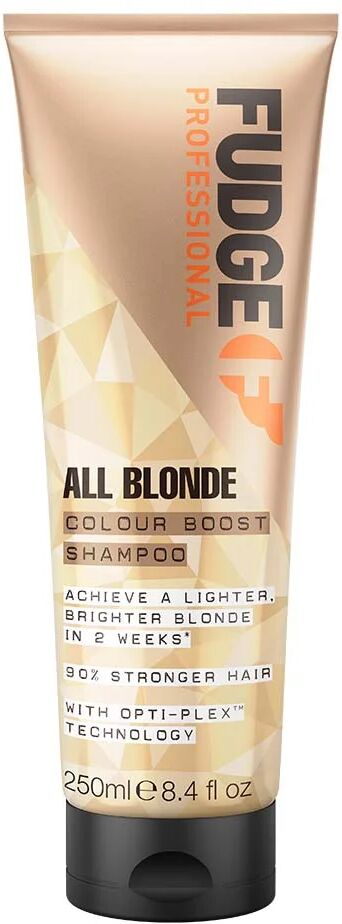 Fudge All Blonde Colour Boost Shampoo, 250 ml Fudge Shampoo