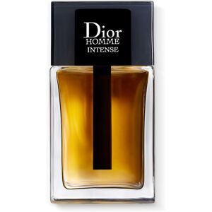 Christian Dior Dior Homme Intense Eau de Parfum 100 ml Herren