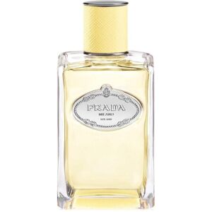 Prada Infusion Mimosa Eau de Parfum (EdP) 100 ML 100 ml