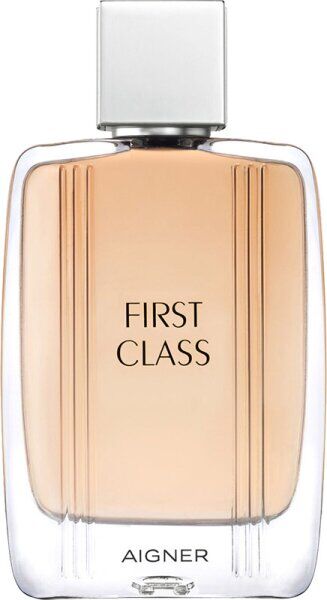 Etienne Aigner Aigner First Class Eau de Toilette (EdT) 100 ml Parfüm