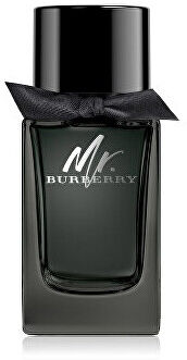 Burberry Mr. Burberry - EDP 30 ml