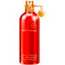 Montale Wood on Fire Eau de Parfum 100 ml