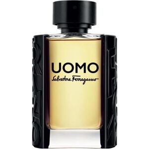 Salvatore Ferragamo Uomo Edt 100ml Silver