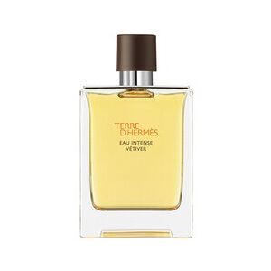 Terre d'Hermès Eau Intense Vétiver - Eau de Parfum