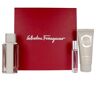 Salvatore Ferragamo Bright Leather lote 3 pz