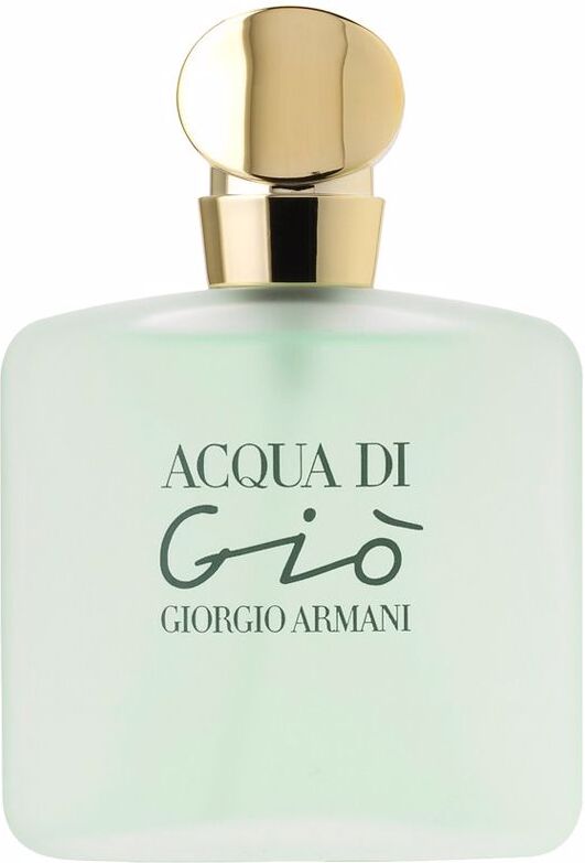 Giorgio Armani Acqua Di Giò eau de toilette vaporizador 100 ml