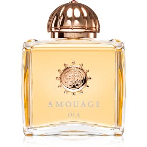 Amouage Dia Eau de Parfum pour femme 100 ml