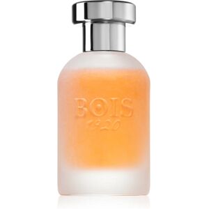 Bois 1920 Come L'Amore Eau de Parfum mixte 100 ml