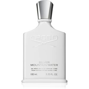 Silver Mountain Water Eau de Parfum pour homme 100 ml