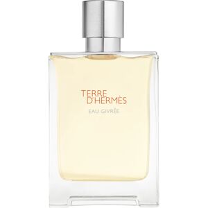 HERMÈS Terre d’Hermès Eau Givrée Eau de Parfum pour homme 100 ml