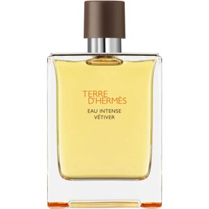 HERMÈS Terre d’Hermès Eau Intense Vétiver Eau de Parfum pour homme 200 ml