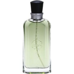 Lucky You eau de cologne pour homme 100 ml