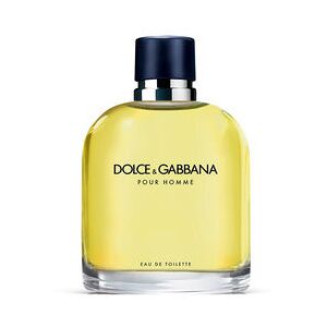 Dolce & Gabbana Dolce & Gabbana Pour Homme Eau De Toilette Vaporisateur 200 Ml