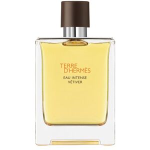 Terre dHermes Eau Intense Vetiver