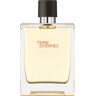 HERMÈS Terre d’Hermès Eau de Toilette pour homme 200 ml