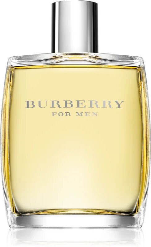 Burberry for Men Eau de Toilette for Men 100 ml