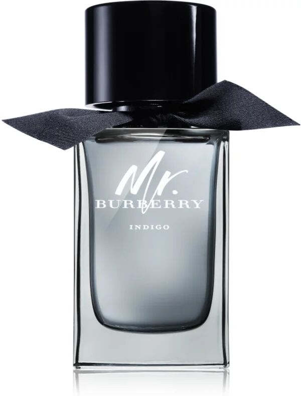 Burberry Mr. Burberry Indigo Eau de Toilette for Men 100 ml