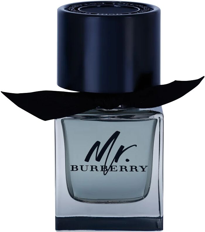 Burberry Mr. Burberry Eau de Toilette for Men 50 ml