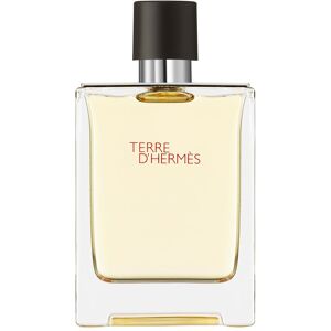 Hermès Terre D'hermes Eau De Toilette 100 ML