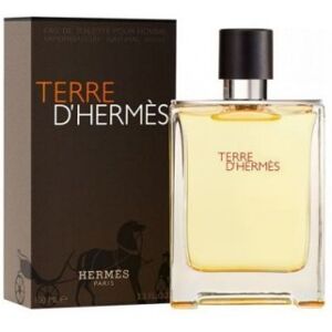 Hermes Hermès Terre d'Hermès 200ML