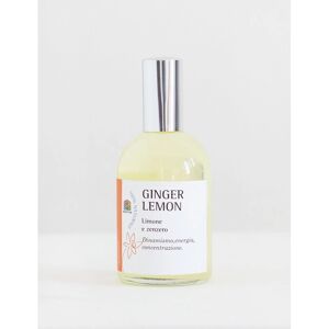 olfattiva Profumi Acqua Profumata con Oli Essenziali Ginger Lemon