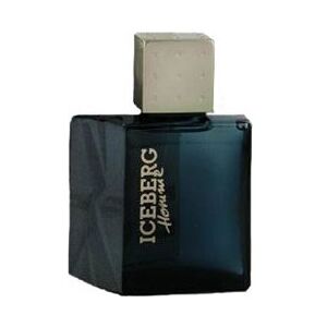 Iceberg Homme - Eau de Toilette uomo 100 ml vapo