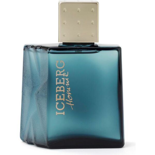 iceberg homme for him eau de toilette 100 ml