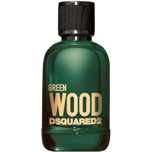 green wood dsquared2 pour homme 100 ml