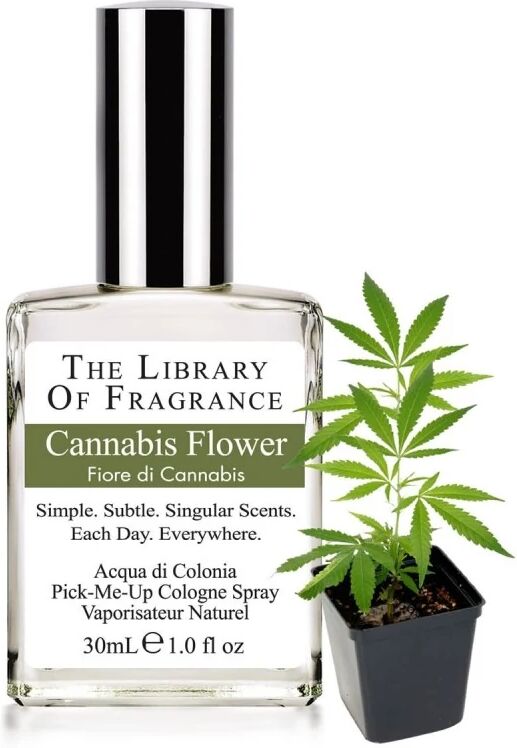 the library of fragrance Profumi Profumo Naturale Fiore di Cannabis