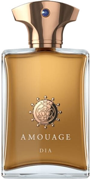 Amouage Amouage Dia Man 100 ML