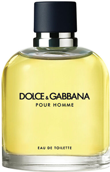 Dolceegabbana dolce e gabbana pour homme eau de toilette 200 ML