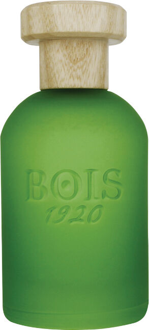 Bois 1920 Bois 1920 CANNABIS - Cannabis EDP 100 ML